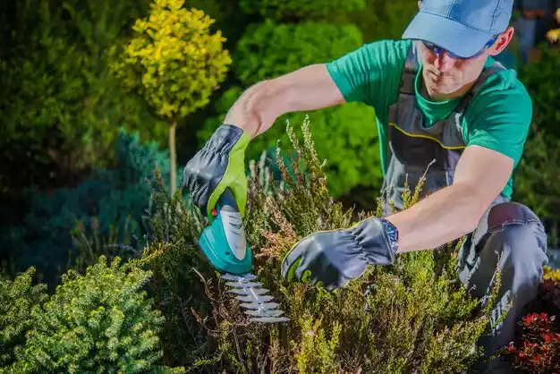 landscaping services Bremen